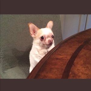 Meet your Posher, Jeffrey